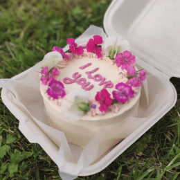 Torta bento: tutto l'occorrente per prepararla